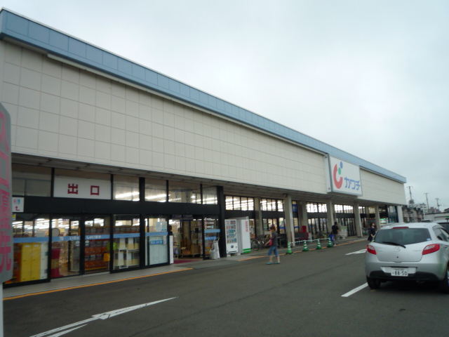 ドラックストア　カワチ薬品仙台東店（ドラッグストア）まで1346m