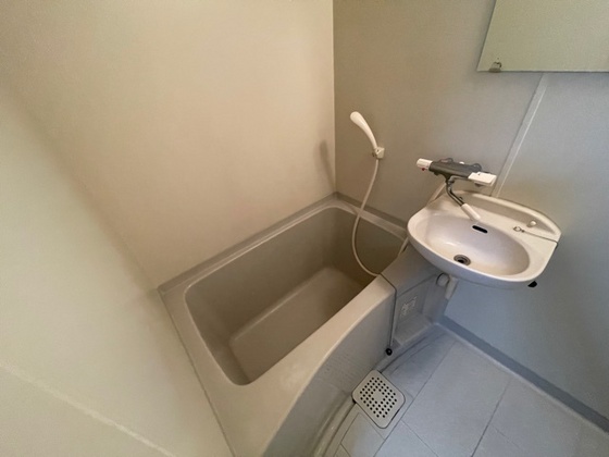 バス・シャワールーム　※別部屋の写真です