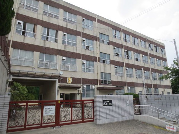 小学校　名古屋市立星ヶ丘小学校（小学校）まで520m