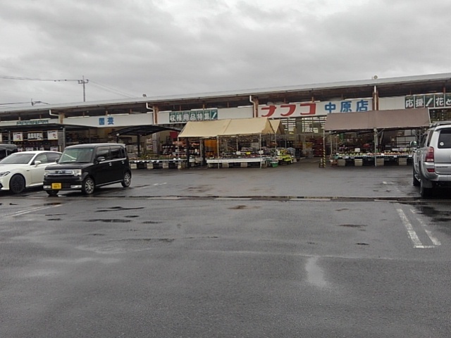 ホームセンター　ナフコ中原店（ホームセンター）まで1670m
