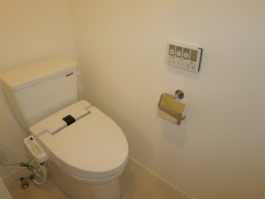 AZEST ITABASHI IIのトイレ写真