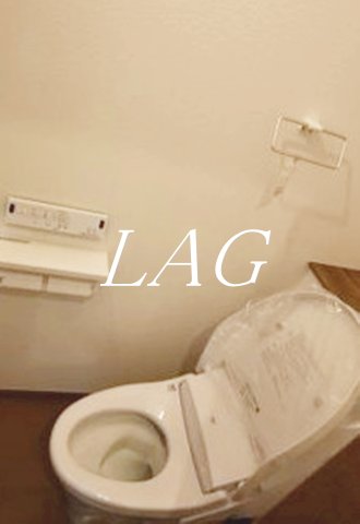トイレ　トイレです。