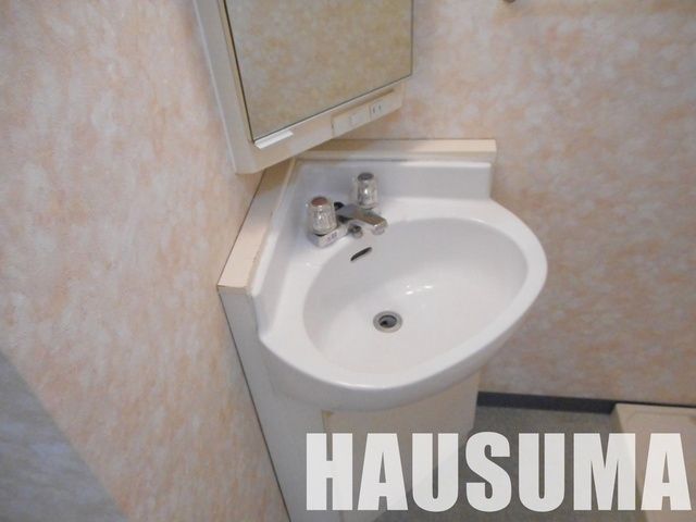 洗面設備　※他号室参考写真です。