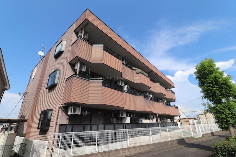 ロイヤルレインボー中主_トップ画像