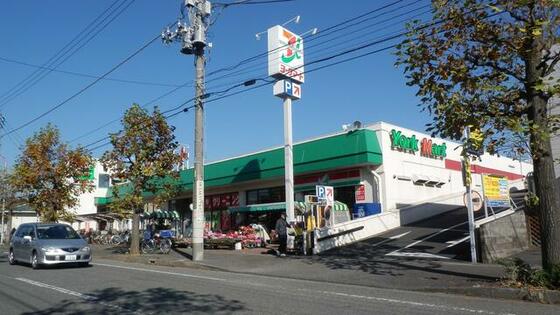 ショッピングセンター　ヨークマート鴨宮店（ショッピングセンター）まで520m