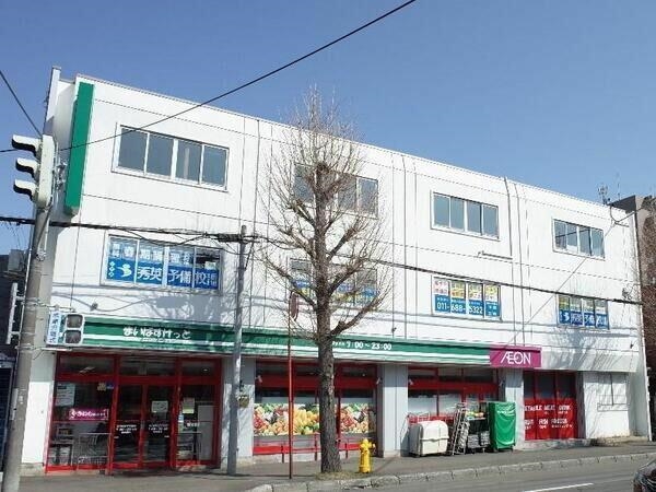 スーパー　まいばすけっと南9条西17丁目店（スーパー）まで252m