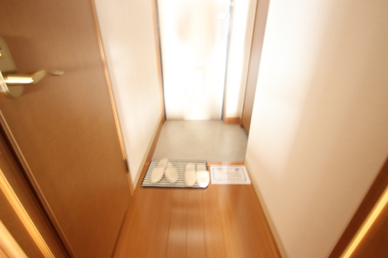 玄関　※別のお部屋の写真です。