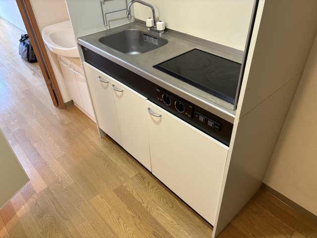 キッチン　※同間取別室のものになります。