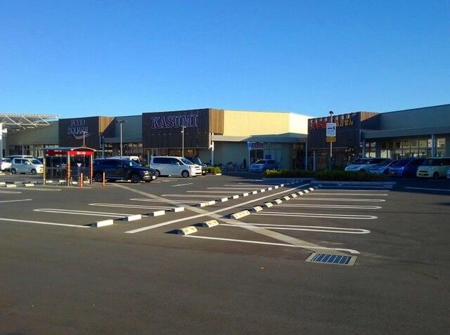 ショッピングセンター　フレスポ桶川坂田店（ショッピングセンター）まで450m