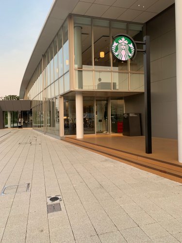 飲食店　スターバックスコーヒー（飲食店）まで205m