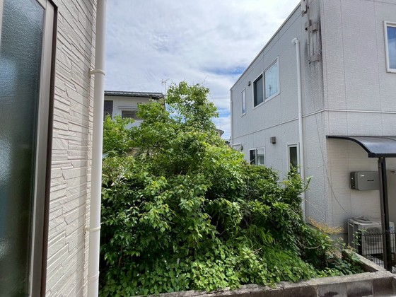 眺望　※別号室の写真です。