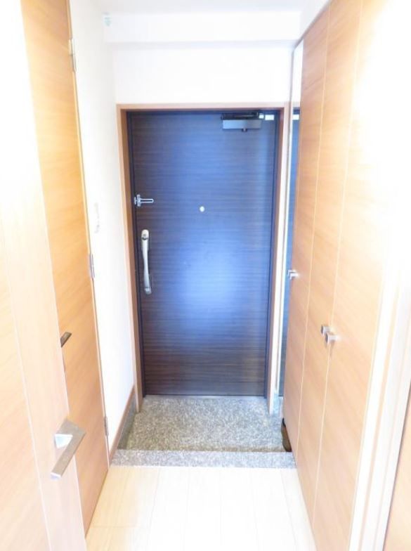 玄関　（別タイプ参考写真）日神パレステージ巣鴨　豊島区南大塚1