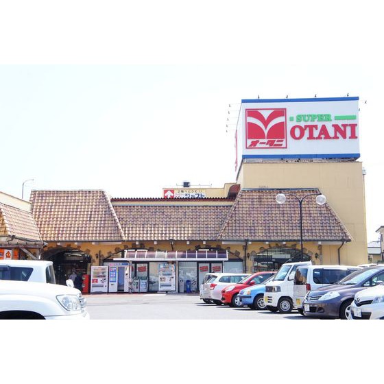 スーパー　スーパーオータニ野沢店（スーパー）まで1279m