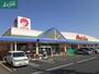 スーパー　マルナカ一宮店（スーパー）まで1100m