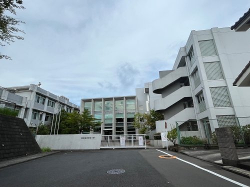 大学・短大　東京医療学院大学（大学・短大）まで898m
