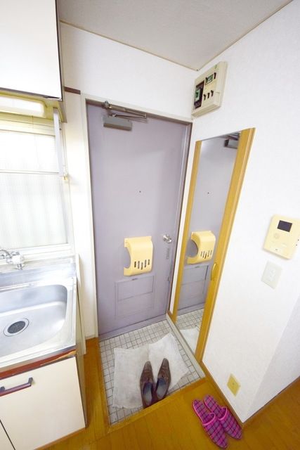 玄関　※同建物別号室別タイプ参考写真です