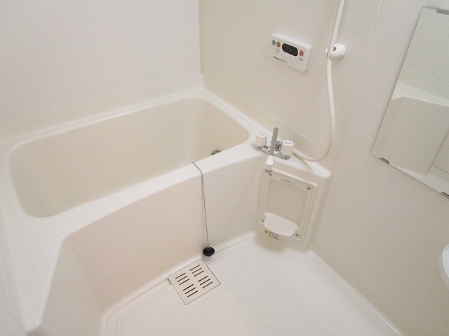 バス・シャワールーム　落ち着いた空間のお風呂です