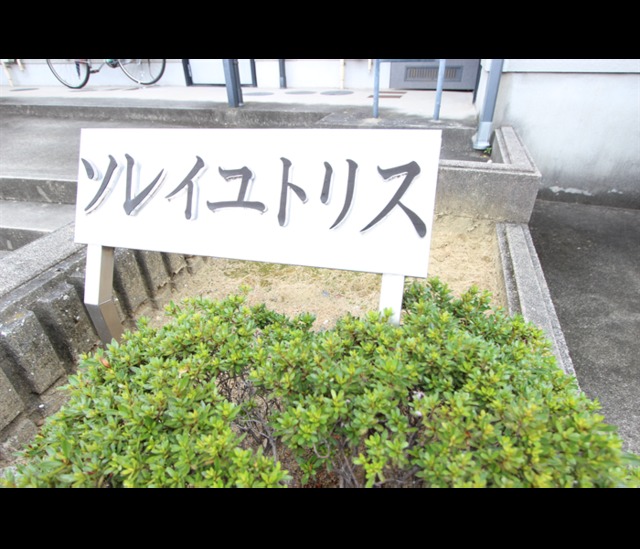 庭　植栽です。