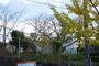 小学校　磐田市立向笠小学校（小学校）まで1495m
