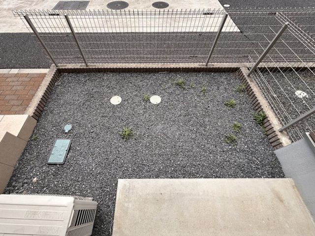 庭