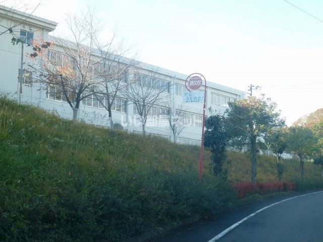 小学校　龍ケ崎市立城ノ内小学校（小学校）まで674m