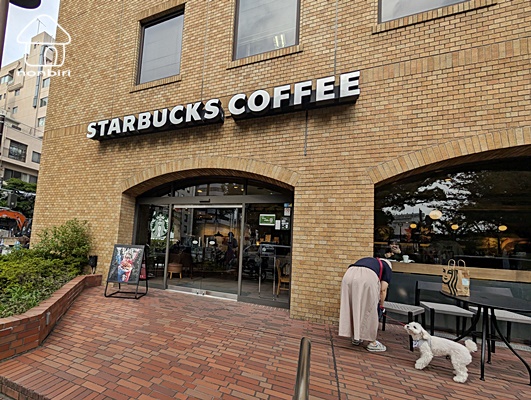 飲食店　スターバックスコーヒー横浜公園店（飲食店）まで184m