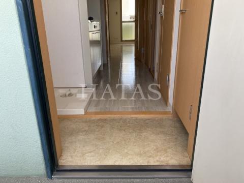 玄関　同物件別部屋です。