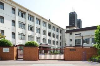 小学校　大阪市立大道南小学校（小学校）まで455m