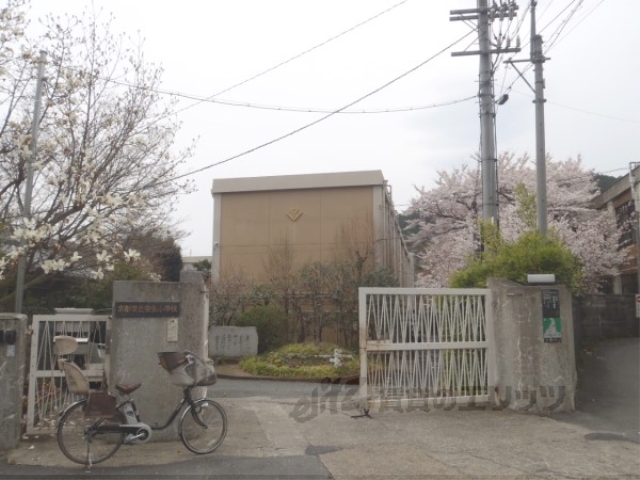小学校　安朱小学校（小学校）まで650m
