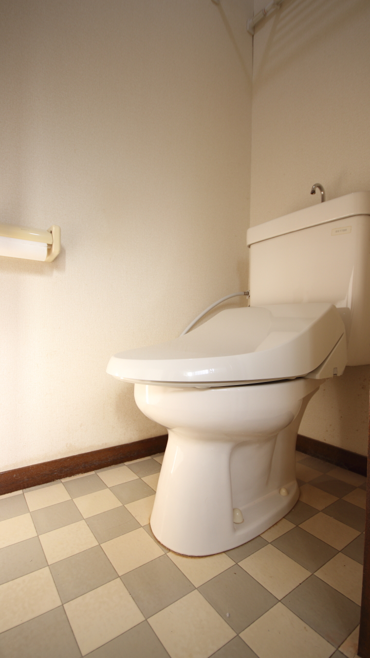 コーポKAMAGAYAIIIのトイレ写真