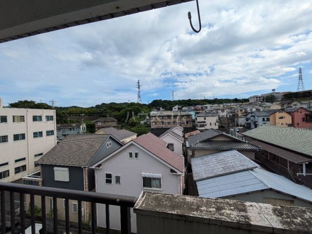 グリーンエースのその他写真