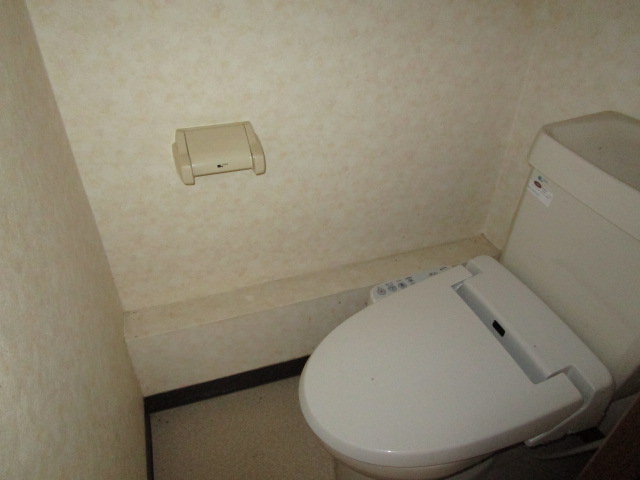 シティーハイムドリーム Aのトイレ写真