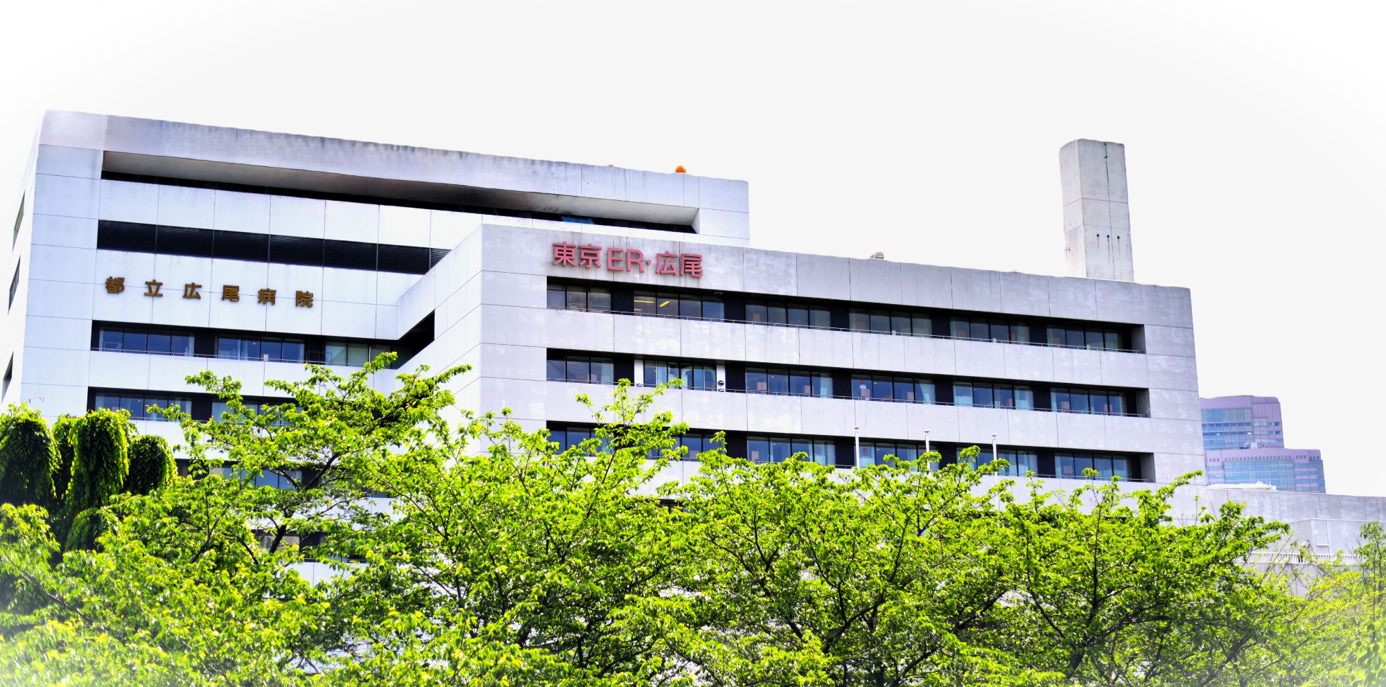 病院　東京都立広尾病院（病院）まで601m