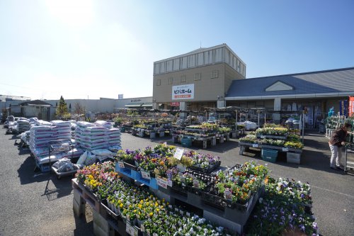 ホームセンター　ビバホームあすみが丘店（ホームセンター）まで1050m