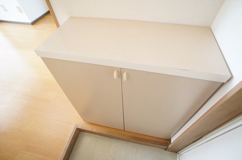 玄関　図面と現状に相違がある場合には現状を優先