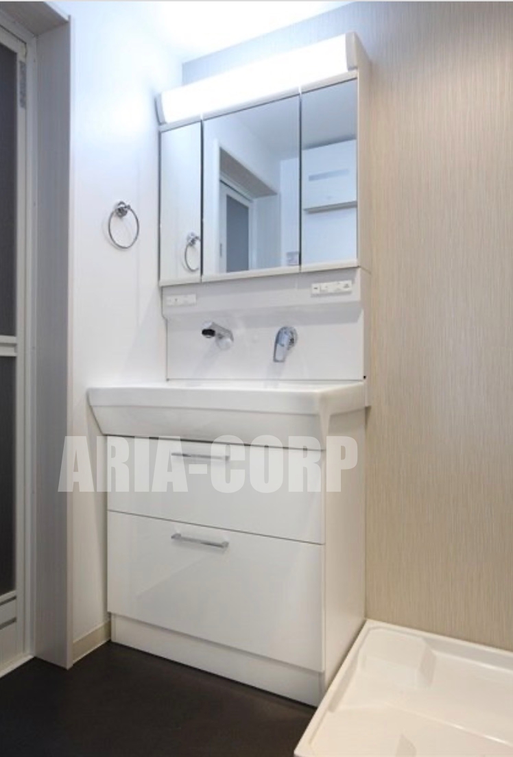 洗面設備　シャンプードレッサー付きの独立洗面台！収納豊富な洗面所♪