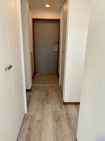 玄関　※こちらの写真は他部屋になり参考写真です