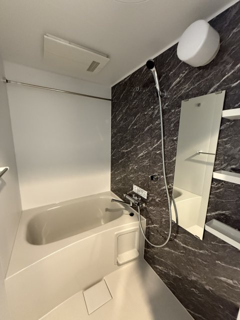 バス・シャワールーム　同物件、別号室のものです。