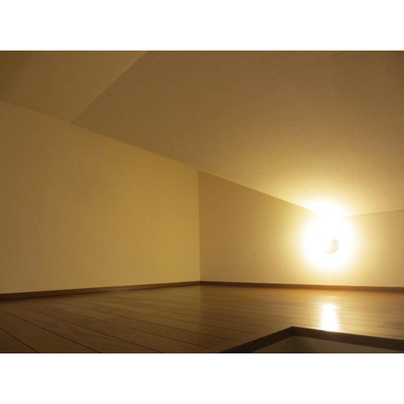 その他　小屋裏収納