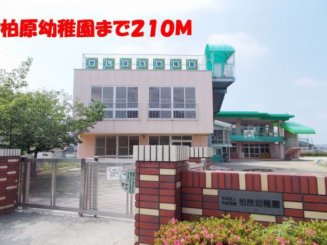 幼稚園・保育園　柏原幼稚園（幼稚園・保育園）まで210m