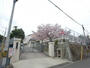 中学校　飛松中学校（中学校）まで269m
