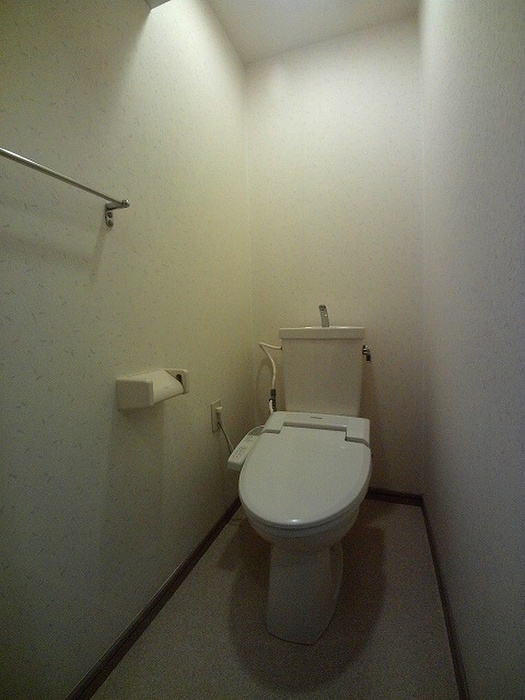 トイレ　写真は別号室になります