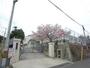 中学校　神戸市立飛松中学校（中学校）まで948m