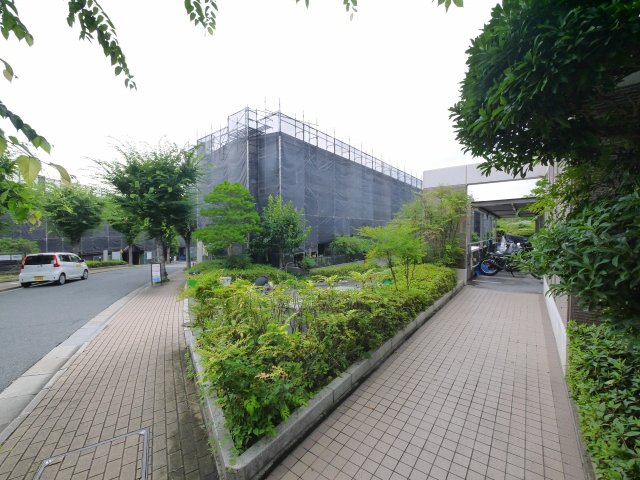 庭