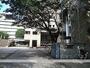 大学・短大　聖徳短期大学（大学・短大）まで1443m