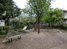 公園　阿佐谷かりん公園（公園）まで1135m