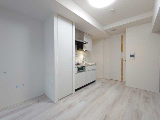 ライオンズ千代田岩本町ミレスーKDAの居間写真