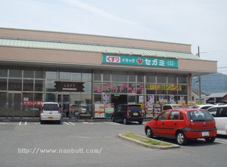 ドラックストア　ドラッグセガミ新涯店（ドラッグストア）まで582m