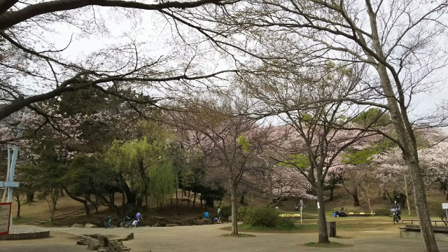 【川崎市高津区梶ケ谷のマンションの公園】