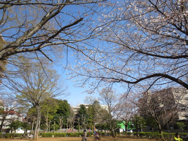公園　宮前公園（公園）まで620m